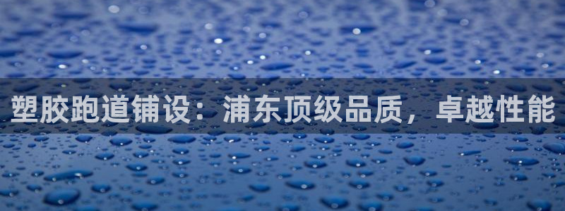 尊龙t600：塑胶跑道铺设：浦东顶级品质，卓越性能