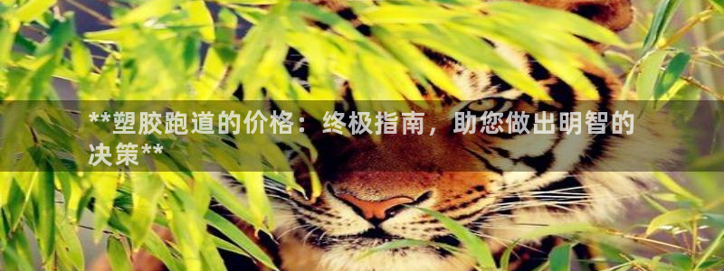 尊龙人生就是博送38：**塑胶跑道的价格：终极指南，助您做出明智的
决策**