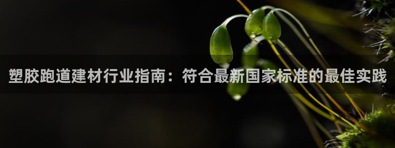 尊龙凯时人生就是博中国官网：塑胶跑道建材行业指南：符合最新国家标准的最佳实践