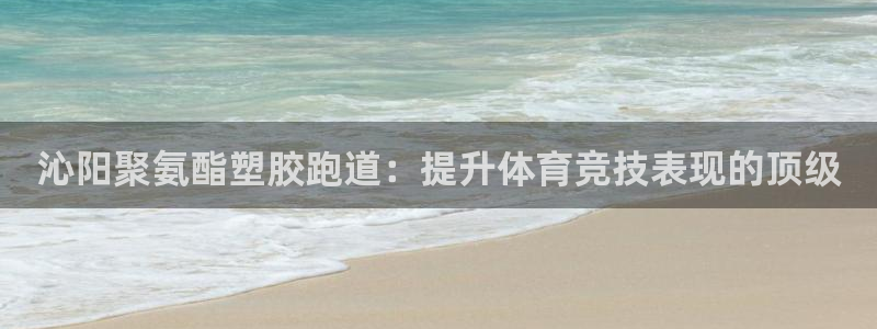 尊龙凯时ag旗舰厅登陆：沁阳聚氨酯塑胶跑道：提升体育竞技表现的顶级
