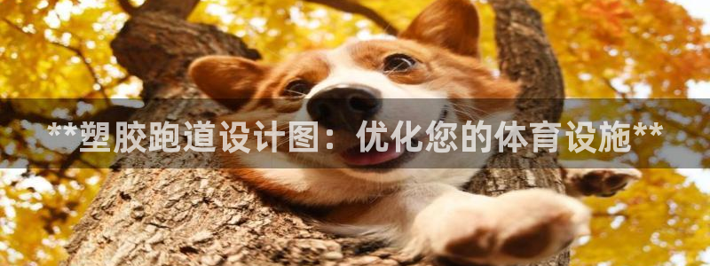 尊龙官网下载：**塑胶跑道设计图：优化您的体育设施*
