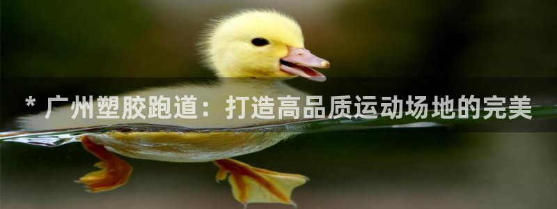 尊龙凯时存款不上分：* 广州塑胶跑道：打造高品质运动场地的完美