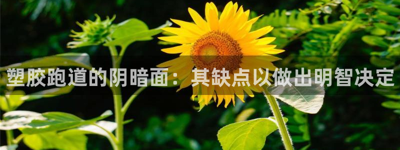尊龙科技：塑胶跑道的阴暗面：其缺点以做出明智决定