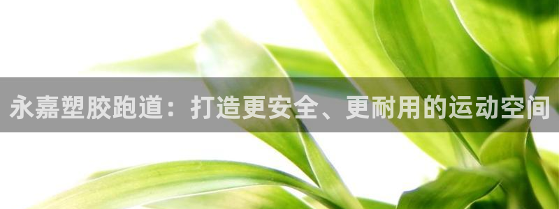 尊龙凯时人生就是搏·(中国)官网：永嘉塑胶跑道：打造更安全、更耐用的运动空间