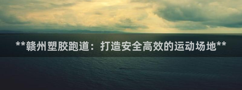 尊龙目前照片：**赣州塑胶跑道：打造安全高效的运动场地**