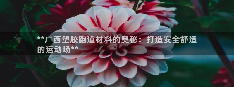 尊龙凯时平台怎么样：**广西塑胶跑道材料的奥秘：打造安全舒适
的运动场**