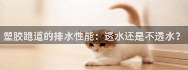 凯时kb88官方：塑胶跑道的排水性能：透水还是不透水？