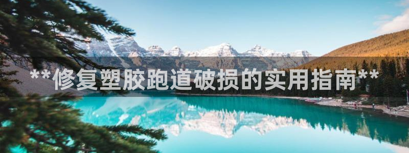 尊龙网站人生就是博：**修复塑胶跑道破损的实用指南**