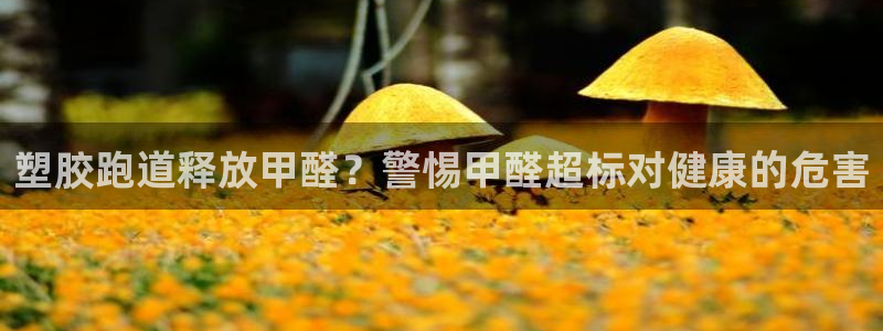 下载尊龙：塑胶跑道释放甲醛？警惕甲醛超标对健康的危害