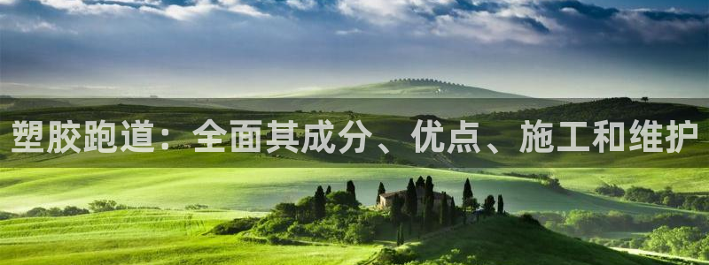 尊龙现金一下指导AG发财网：塑胶跑道：全面其成分、优点、施工和维护