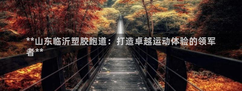 尊龙app官网登录：**山东临沂塑胶跑道：打造卓越运动体验的领军
者**