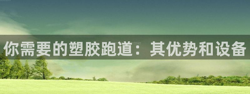 z6尊龙凯时集团：你需要的塑胶跑道：其优势和设备