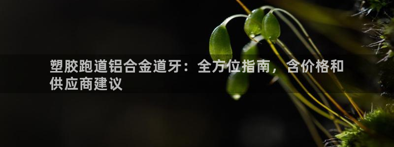 尊龙凯时人生就是博中国官网：塑胶跑道铝合金道牙：全方位指南，含价格和
供应商建议