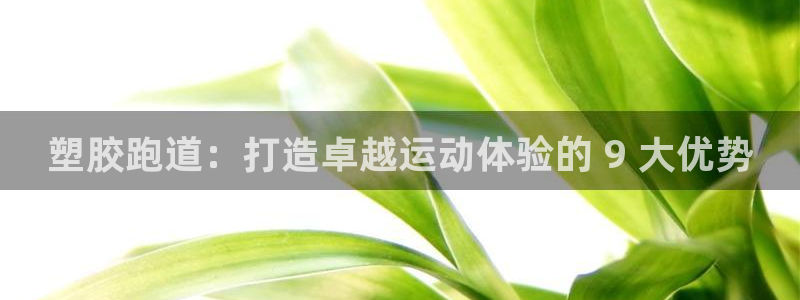 尊龙凯时官方网页：塑胶跑道：打造卓越运动体验的 9 大优势