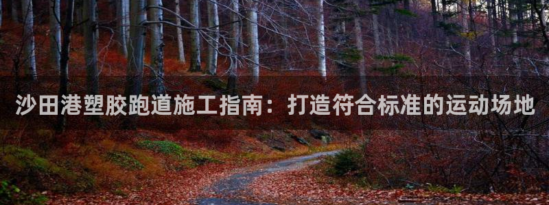 尊龙凯时官方网站下载：沙田港塑胶跑道施工指南：打造符合标准的运动场地