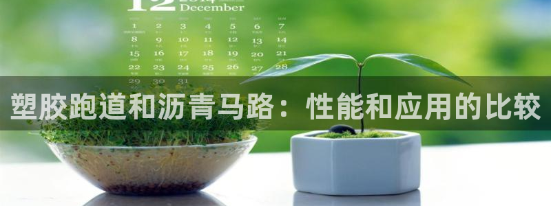 d88尊龙官网登录免费下载：塑胶跑道和沥青马路：性能和应用的比较