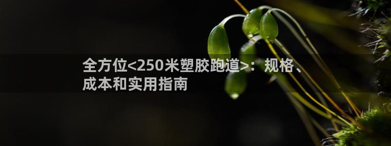 尊龙凯时ag旗舰厅官：全方位<250米塑胶跑道>：规格、
成本和实用指南