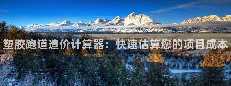 尊龙凯时俱乐部：塑胶跑道造价计算器：快速估算您的项目