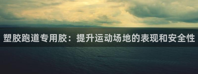 尊龙2016：塑胶跑道专用胶：提升运动场地的表现和安全性