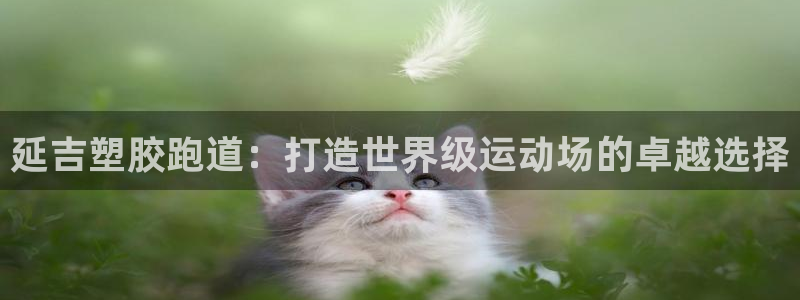 尊龙集团官网：延吉塑胶跑道：打造世界级运动场的卓越选择