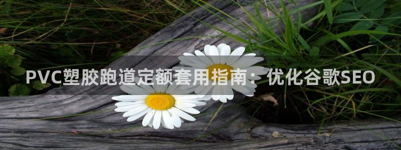 尊龙Ag：PVC塑胶跑道定额套用指南：优化谷歌SEO