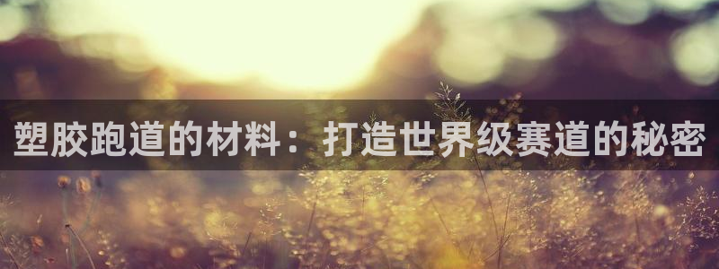 尊龙凯时官方下载：塑胶跑道的材料：打造世界级赛道的秘密
