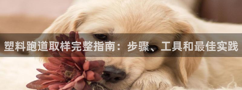 旧版尊龙人生就是博下载：塑料跑道取样完整指南：步骤、工具和最佳实践