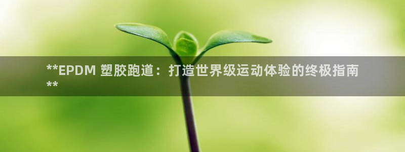 尊龙ag旗舰厅官网·(中国)官方入口：**EPDM 塑胶跑道：打造世界级运动体验的终极指南
**
