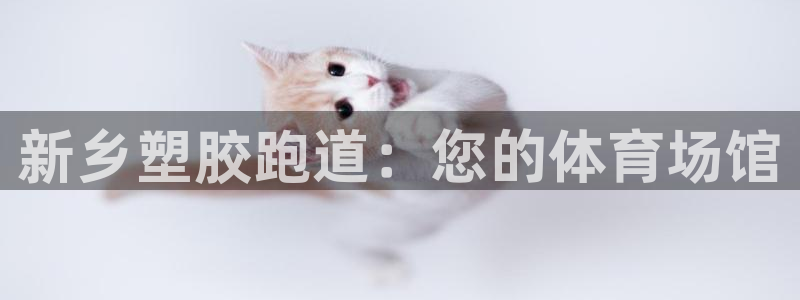 尊龙人生就是博登录首页：新乡塑胶跑道：您的体育场馆