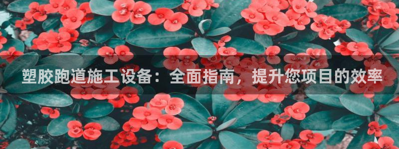 尊龙凯时输钱的原因： 塑胶跑道施工设备：全面指南，提升您项目的效率