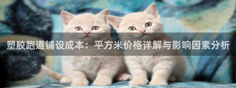尊龙凯时法拉币：塑胶跑道铺设成本：平方米价格详解与影响因素分析