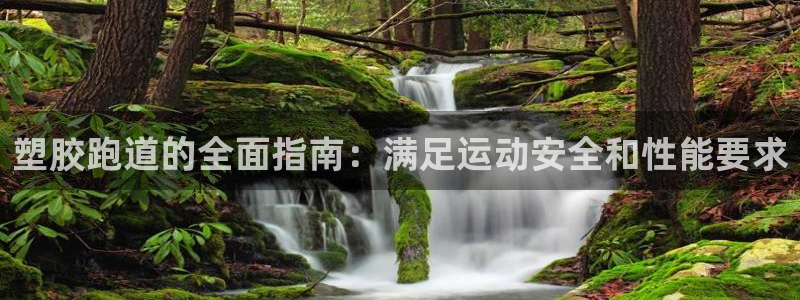 尊龙网址是多少：塑胶跑道的全面指南：满足运动安全和性能要求