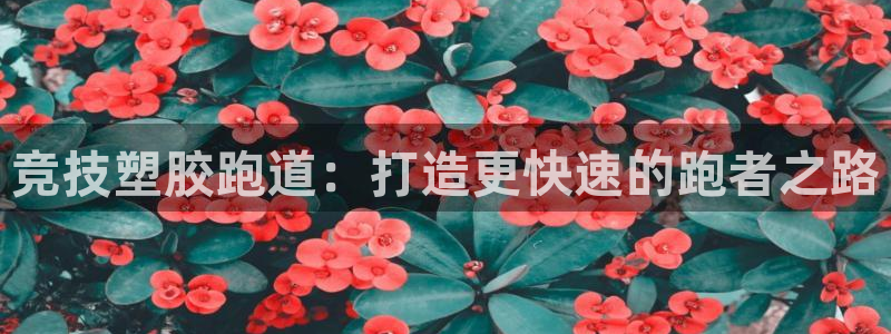 z6com尊龙凯时百家乐下载