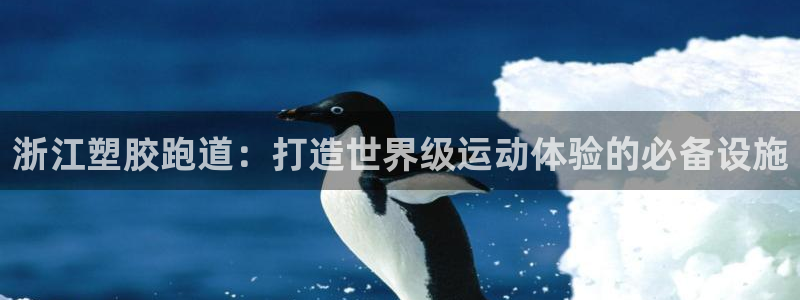 尊龙coming to my own：浙江塑胶跑道：打造世界级运动体验的必备设施