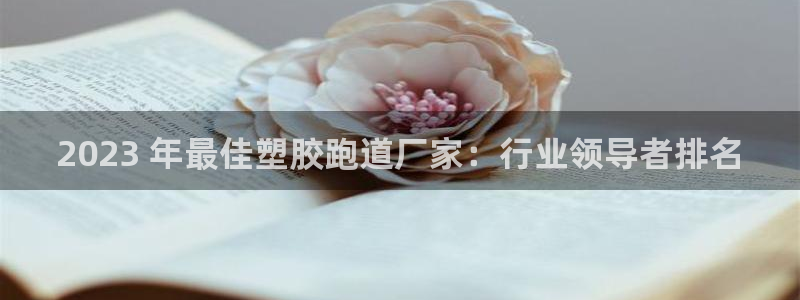 尊龙新版人生就是博!：2023 年最佳塑胶跑道厂家：行业领导者排名