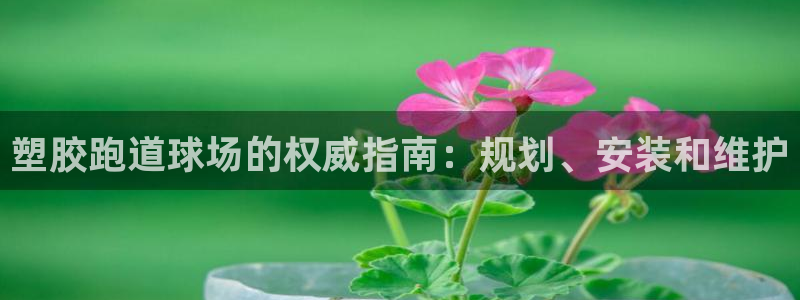 尊龙现金d88：塑胶跑道球场的权威指南：规划、安装和维护