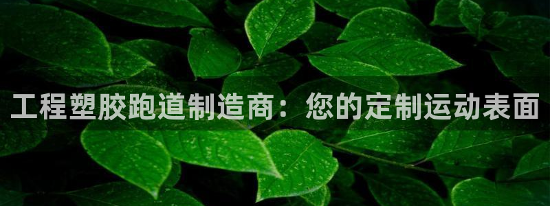 下载凯时AG旗舰厅首页：工程塑胶跑道制造商：您的定制运动表面