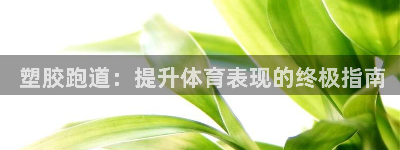 尊龙官网网页版： 塑胶跑道：提升体育表现的终极指南
