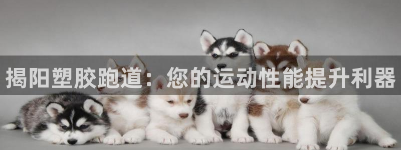尊龙人生就是博管网：揭阳塑胶跑道：您的运动性能提升利器