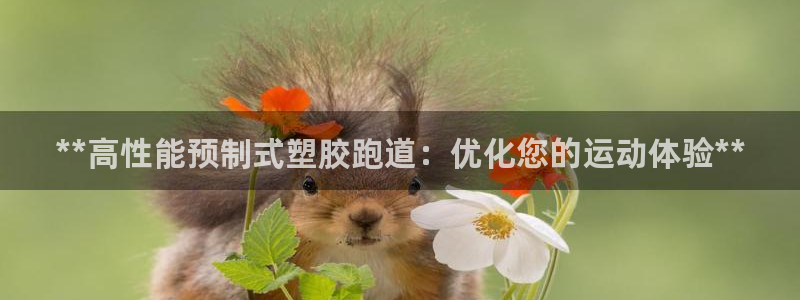 尊龙人生就是博登录网址下载：**高性能预制式塑胶跑道：优化您的运动体验**