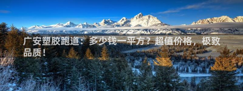 尊龙d88官网登录：广安塑胶跑道：多少钱一平方？超值价格，极致
品质！