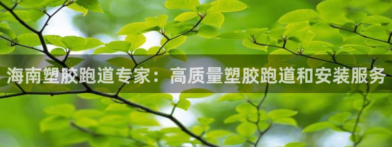 尊龙游戏中心：海南塑胶跑道专家：高质量塑胶跑道和安装服务