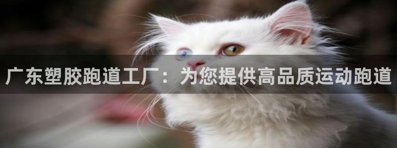 尊龙官网手机版下载：广东塑胶跑道工厂：为您提供高品质运动跑道