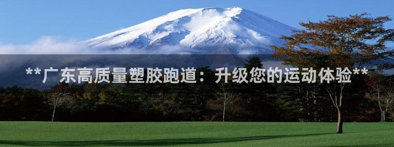 尊龙实业有限公司属于国企吗：**广东高质量塑胶跑道：升级您的运动体验**