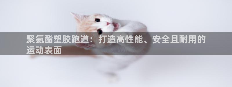 尊龙人生就是博菲律宾台子：聚氨酯塑胶跑道：打造高性能、安全且耐用的
运动表面