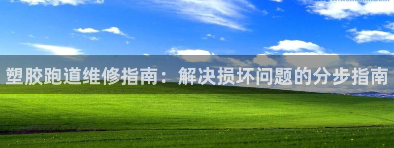 尊龙app下载官网：塑胶跑道维修指南：解决损坏问题的分步指南