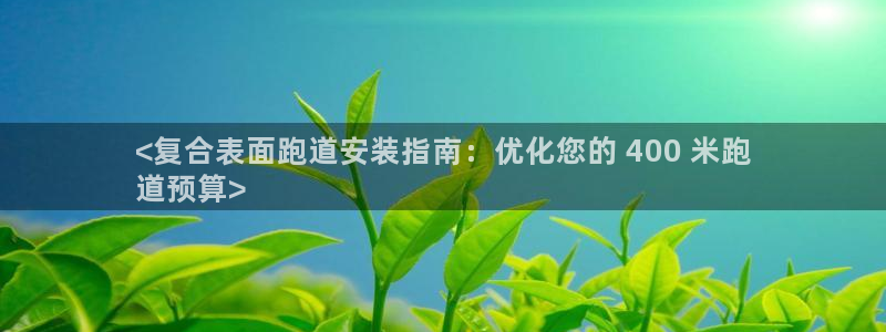 尊龙凯时国际：<复合表面跑道安装指南：优化您的 400 米跑
道预算>