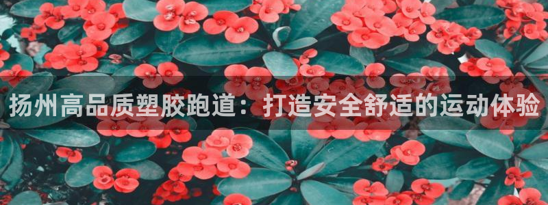 尊龙人生就是博d88官方网站：扬州高品质塑胶跑道：打造安全舒适的运动体验