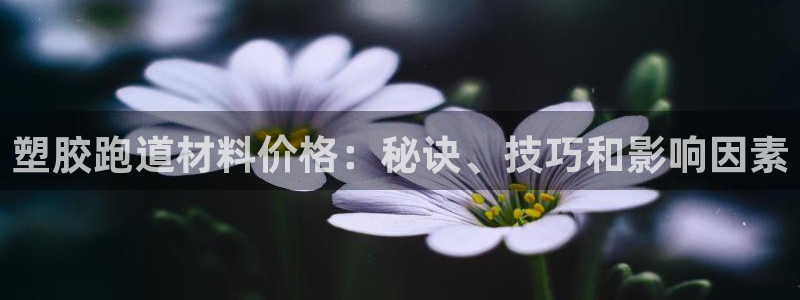 尊龙用现金一下可靠送38元：塑胶跑道材料价格：秘诀、技巧和影响因素