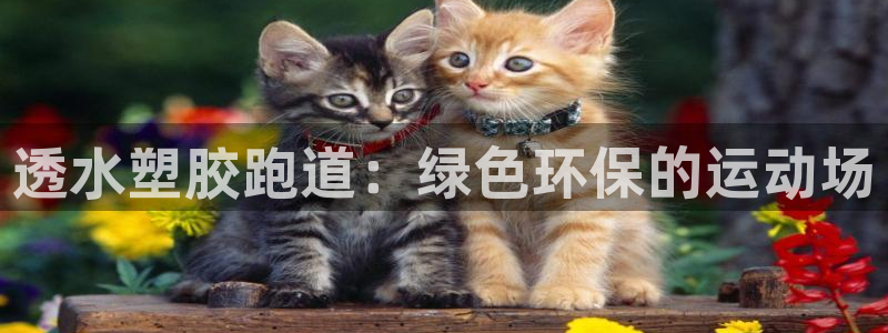 尊龙人生就是博菲律宾台子：透水塑胶跑道：绿色环保的运动场